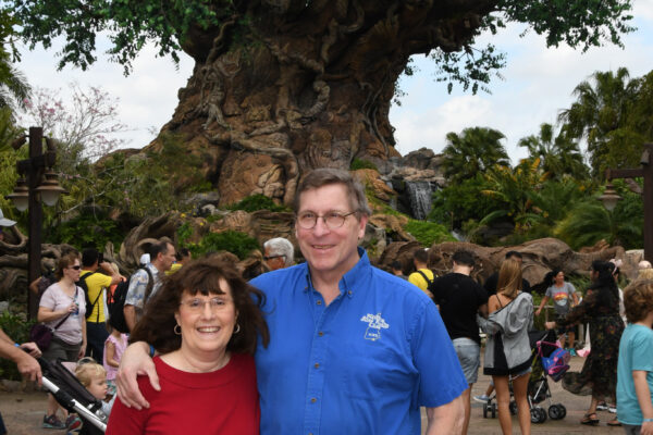Animal Kingdom Tree of Life
