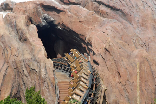 Everest Coaster
