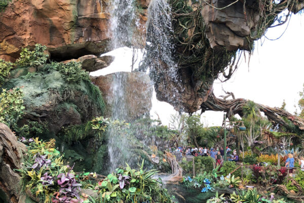 Pandora