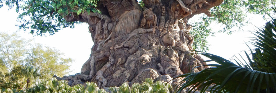 Tree of Life